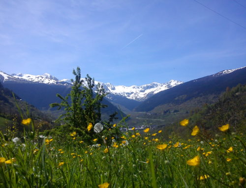 primavera en la VAL D’ARÁN