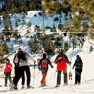 Actividades en familia